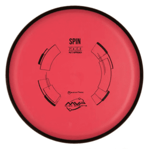 Neutron Spin